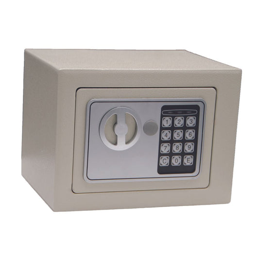 Electronic Safe